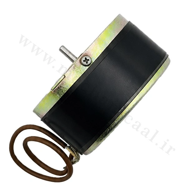 موتور NAM-5A Cd ولتاژ (12-24) Tanashin Seimitsu DC-M-S-83-1-2-3 موتور NAM-5A Cd ولتاژ (12-24) Tanashin Seimitsu DC-M-S-83